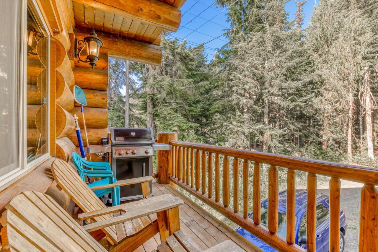 Skiing Bear Chalet ガバメント・キャンプ エクステリア 写真