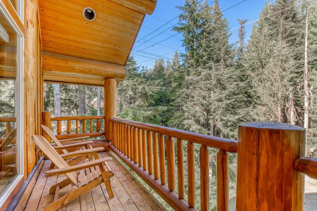 Skiing Bear Chalet ガバメント・キャンプ エクステリア 写真